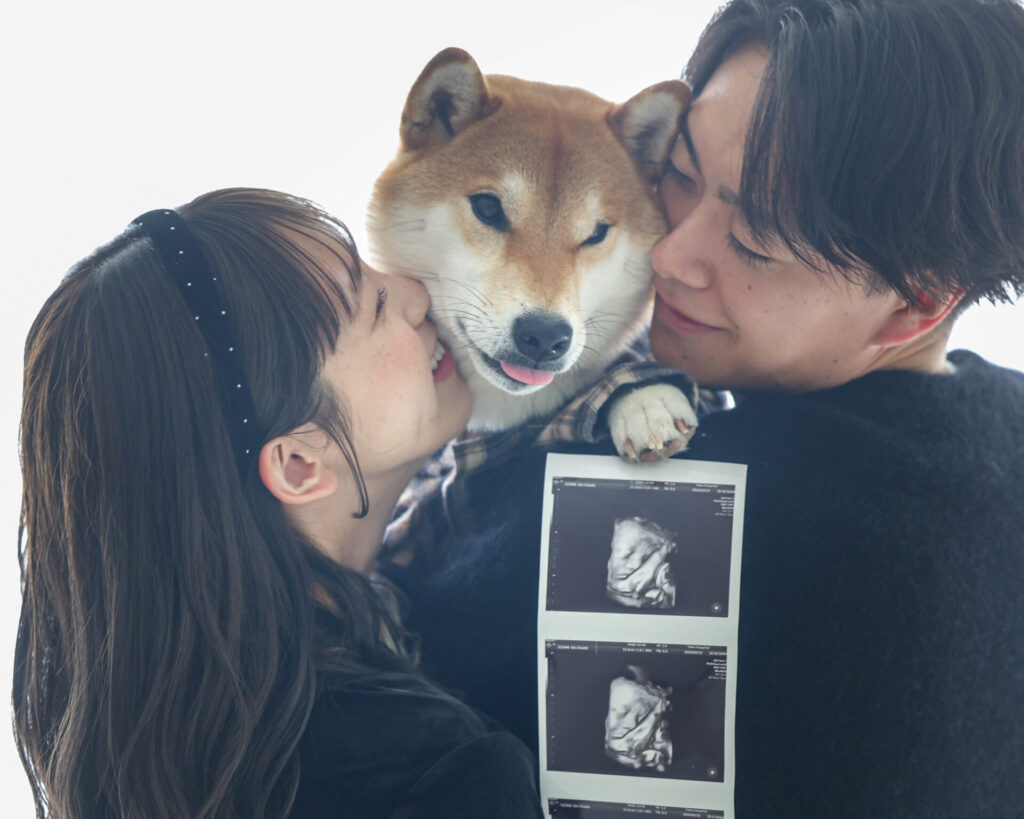 札幌　犬